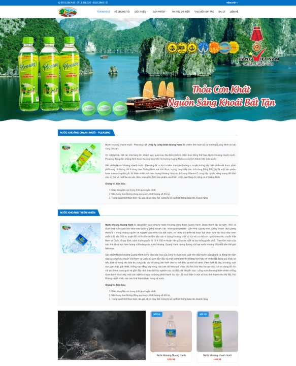 Mẫu website doanh nghiệp 22